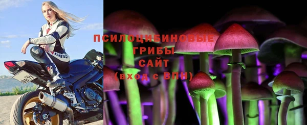 прущий лед Белокуриха