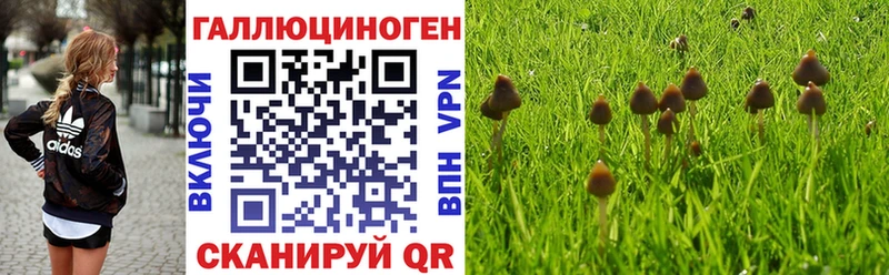Псилоцибиновые грибы мицелий  darknet клад  Задонск 