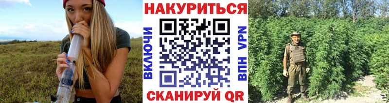 где купить   Задонск  Бошки Шишки Bruce Banner 
